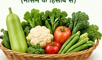 खाने योग्य सब्जियां